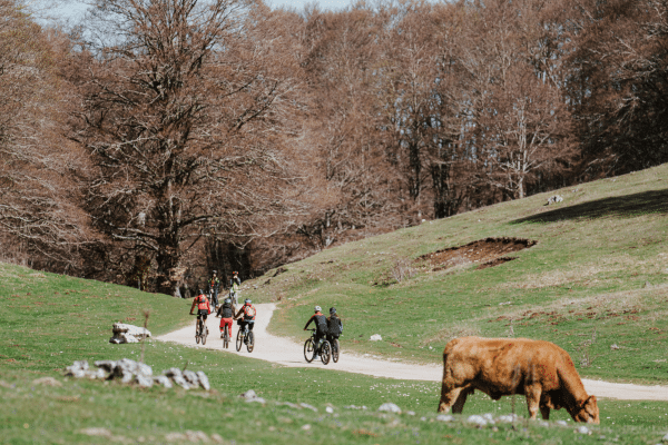 escursioni e-bike in montagna