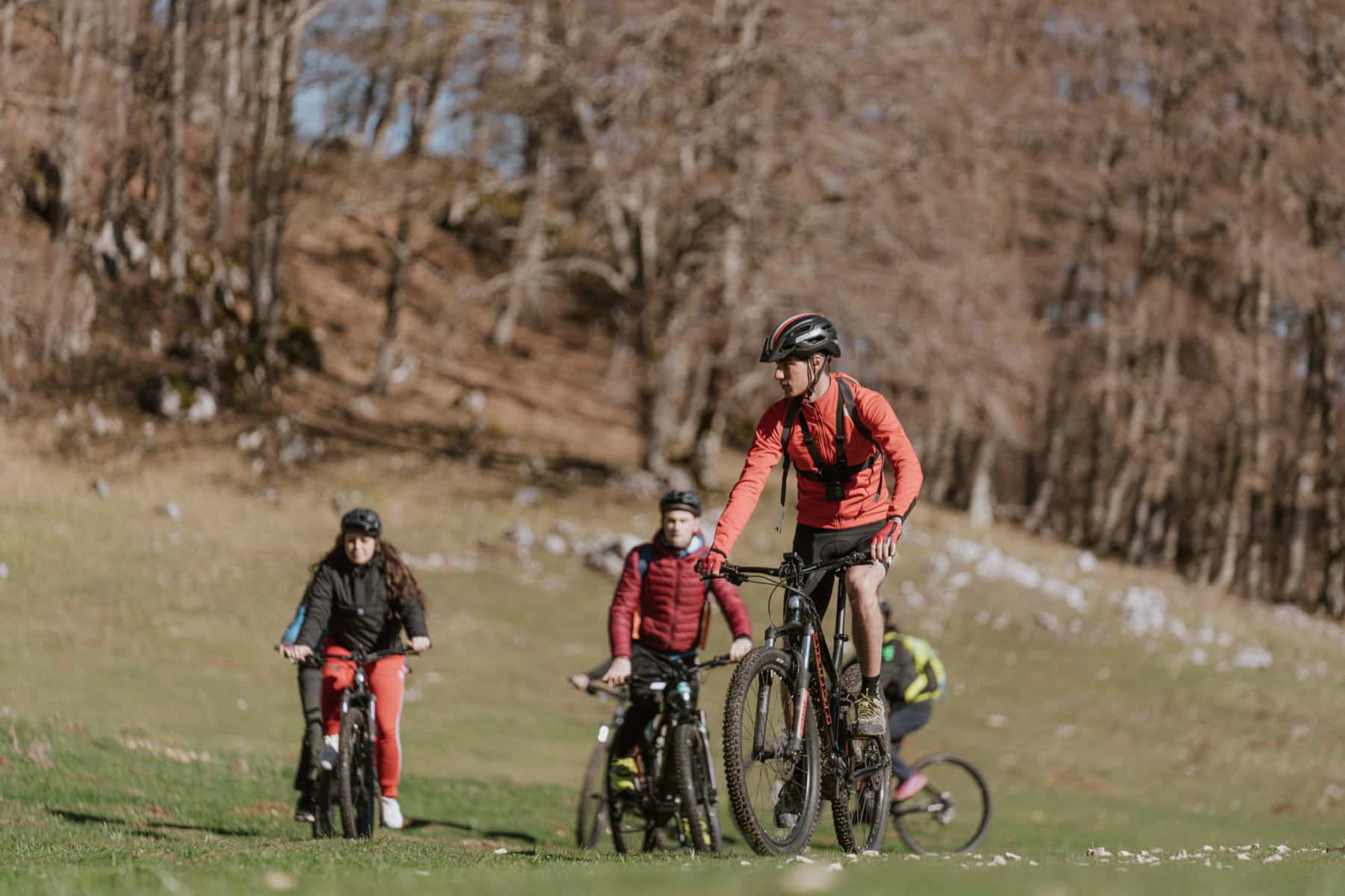 percorsi in bici per principianti e famiglie