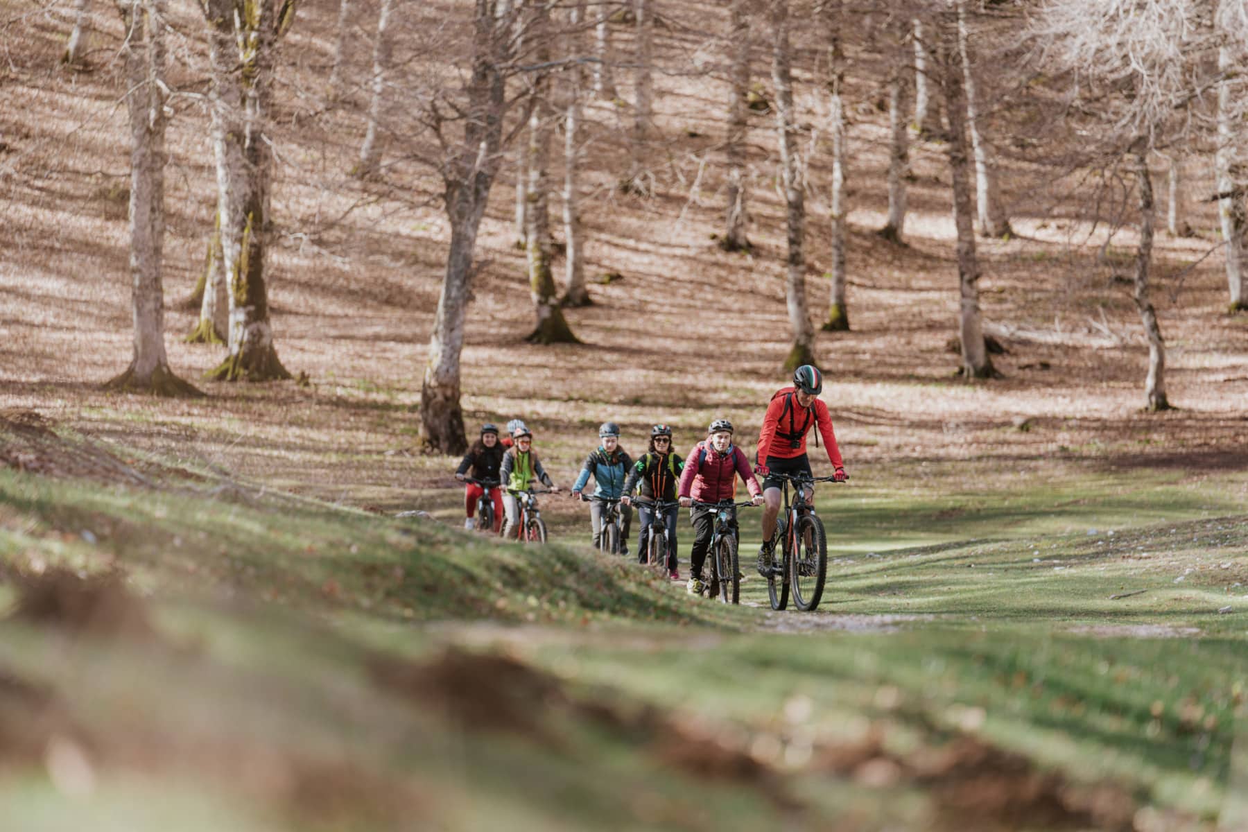 percorsi in bici per principianti e famiglie faggeta più grande d'Europa