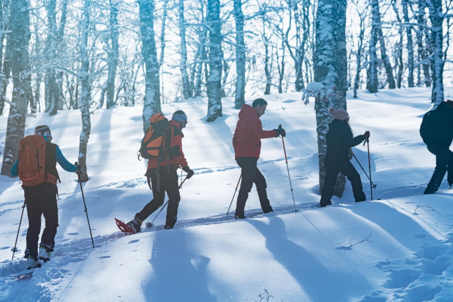 cosa fare in montagna in inverno ciaspolare