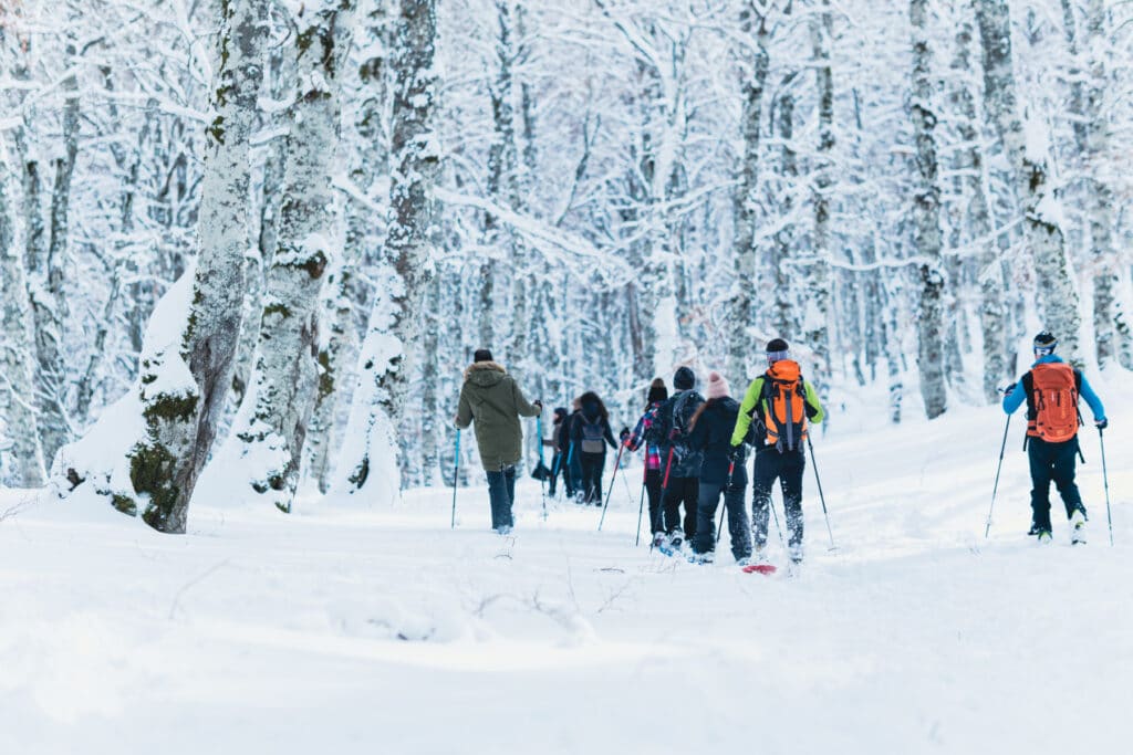cosa fare in montagna in inverno ciaspole